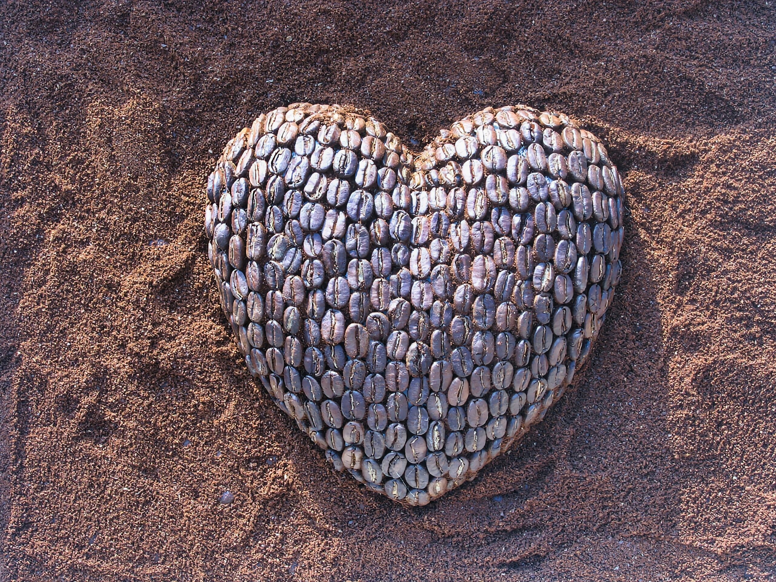 Photo by Marek Studzinski on Unsplash