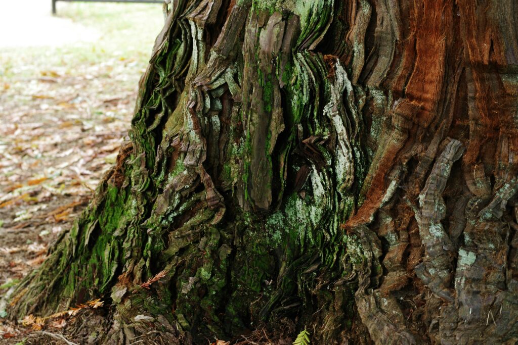 naoki suzuki o7G8VAPSdnc unsplash