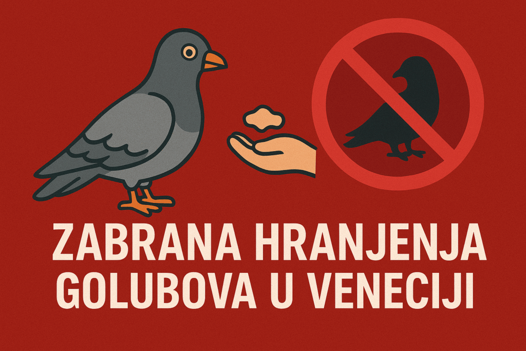 Zabrana hranjenja golubova u Veneciji
