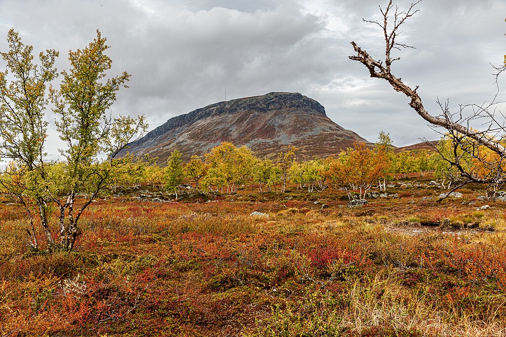 Lapland Summer Magic: Explore Abisko National Park 1 The Summer Magic of Lapland: Explore Abisko National Park - Ninara, CC BY 2.0, via Wikimedia Commons