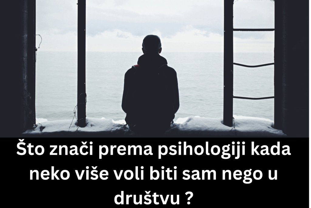Što znači prema psihologiji kada neko više voli biti sam nego u društvu ? - Photo by Noah Silliman on Unsplash