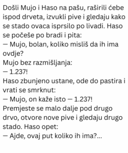 Vic dana: Mujo prebrojava ovce