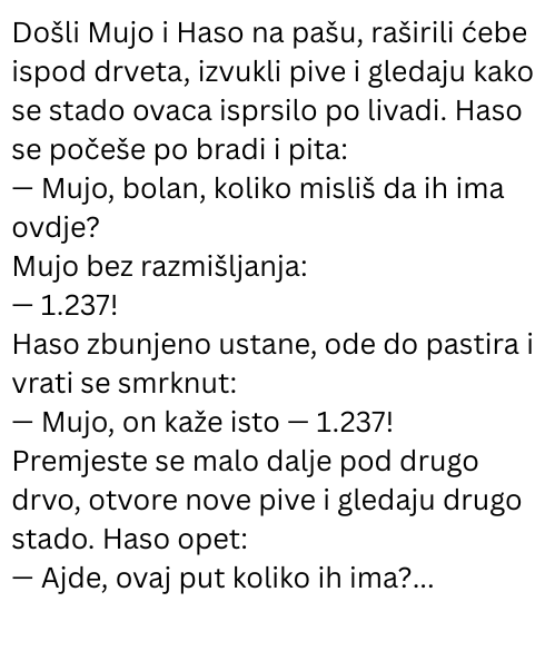 Vic dana: Mujo prebrojava ovce
