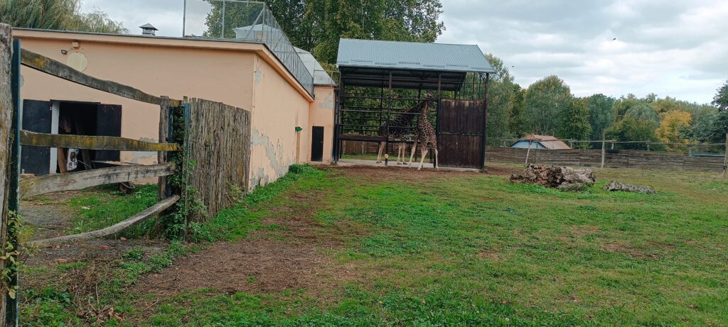ZOO vrt Osijek 170