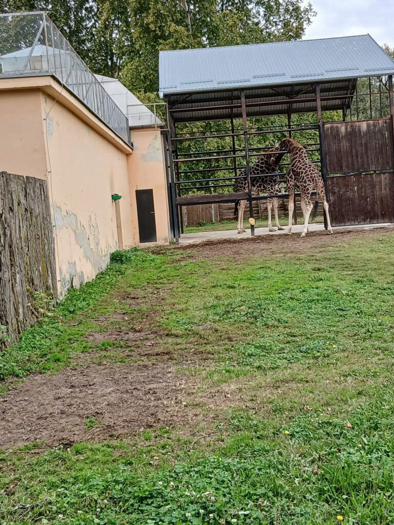 ZOO vrt Osijek 25