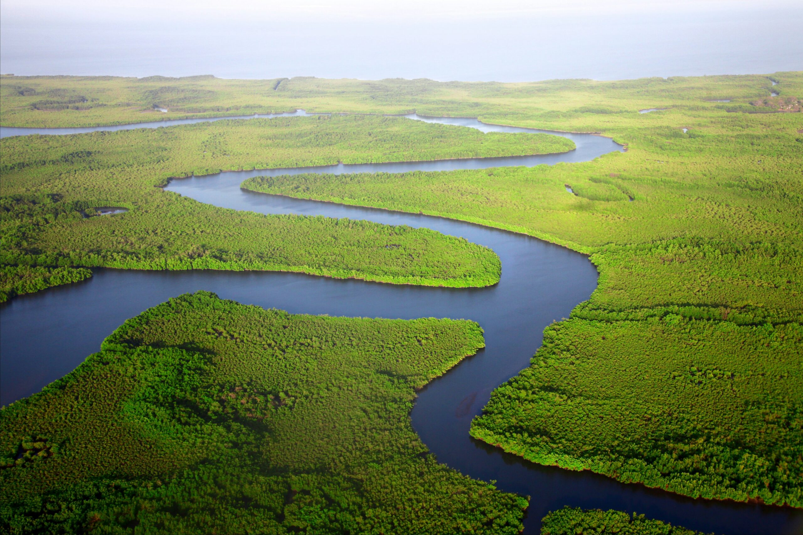 Gambia River - real Africa - Photo by Dan Roizer on Unsplash