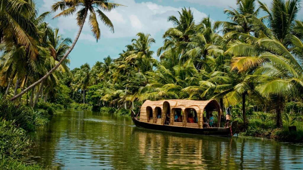 Discover the magical area of ​​Kerala - Photo by Nature Photographer on Unsplash