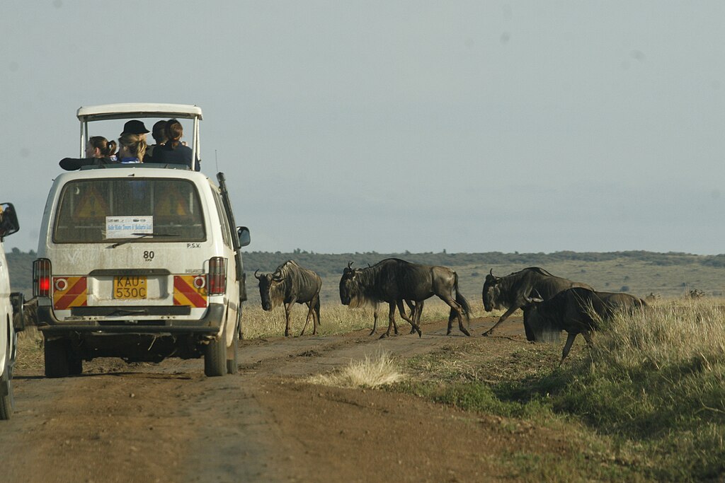 Kenija: Safari, Kilimandžaro i skriveni dragulji obale - DEMOSH from Nairobi, Kenya, CC BY 2.0, via Wikimedia Commons
