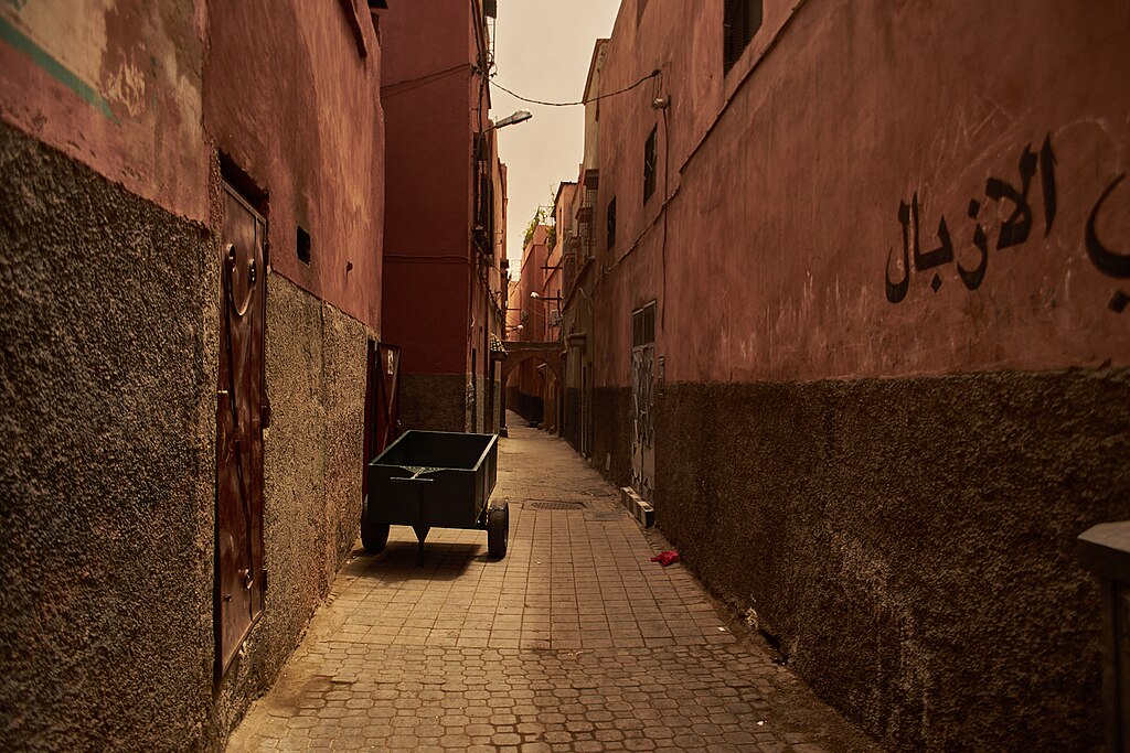 Marakeš - srce Maroka: Trg žonglera, Medina i Majorella 3 Labirint uskih uličica medine u Marakešu - Rodrigo Silva, CC BY 2.0, via Wikimedia Commons