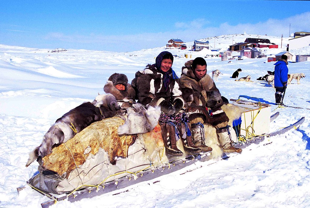 Avantura u Arktiku: Inuiti, Kattajjaq i Susreti s Polarnih Medvjedima 4 Traditional Inuit qamutik (saonice) na snijegu kod Kinngait, Nunavut - Ansgar Walk, CC BY-SA 2.5, via Wikimedia Commons