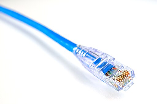 Blue Ethernet cable (RJ‑45) - Raysonho @ Open Grid Scheduler / Grid Engine, CC0, via Wikimedia Commons