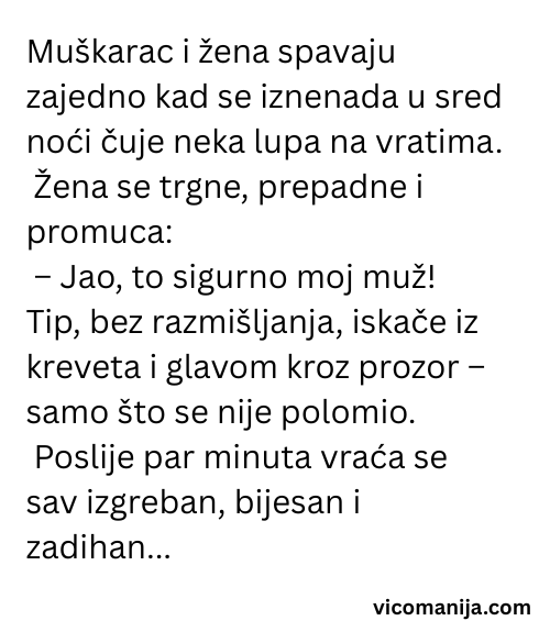 Vic dana Ko se boji muža još