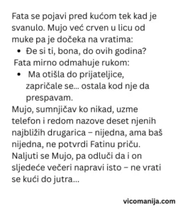 Vic dana Mujo i Fata – provjera alibija