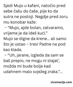 Vic dana Mujo i kafana bez kočnica