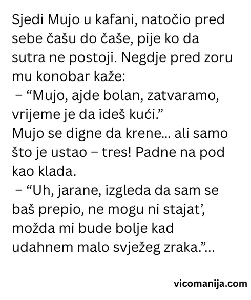 Vic dana Mujo i kafana bez kočnica