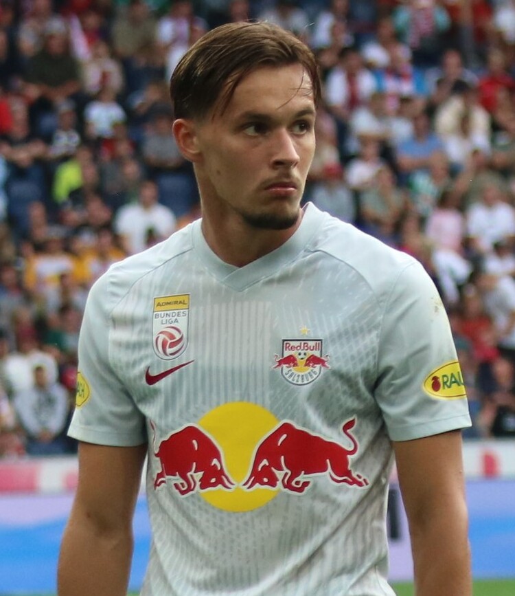 Amar Dedić biografija bosanskohercegovačkog reprezentativca - Werner100359, CC BY-SA 4.0 , via Wikimedia Commons