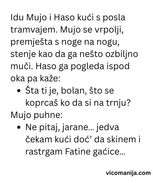 Vic dana Mujo i Haso u tramvaju