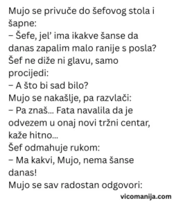 Vic dana Mujo i šef
