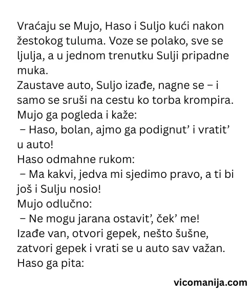 Vic dana Noćna avantura