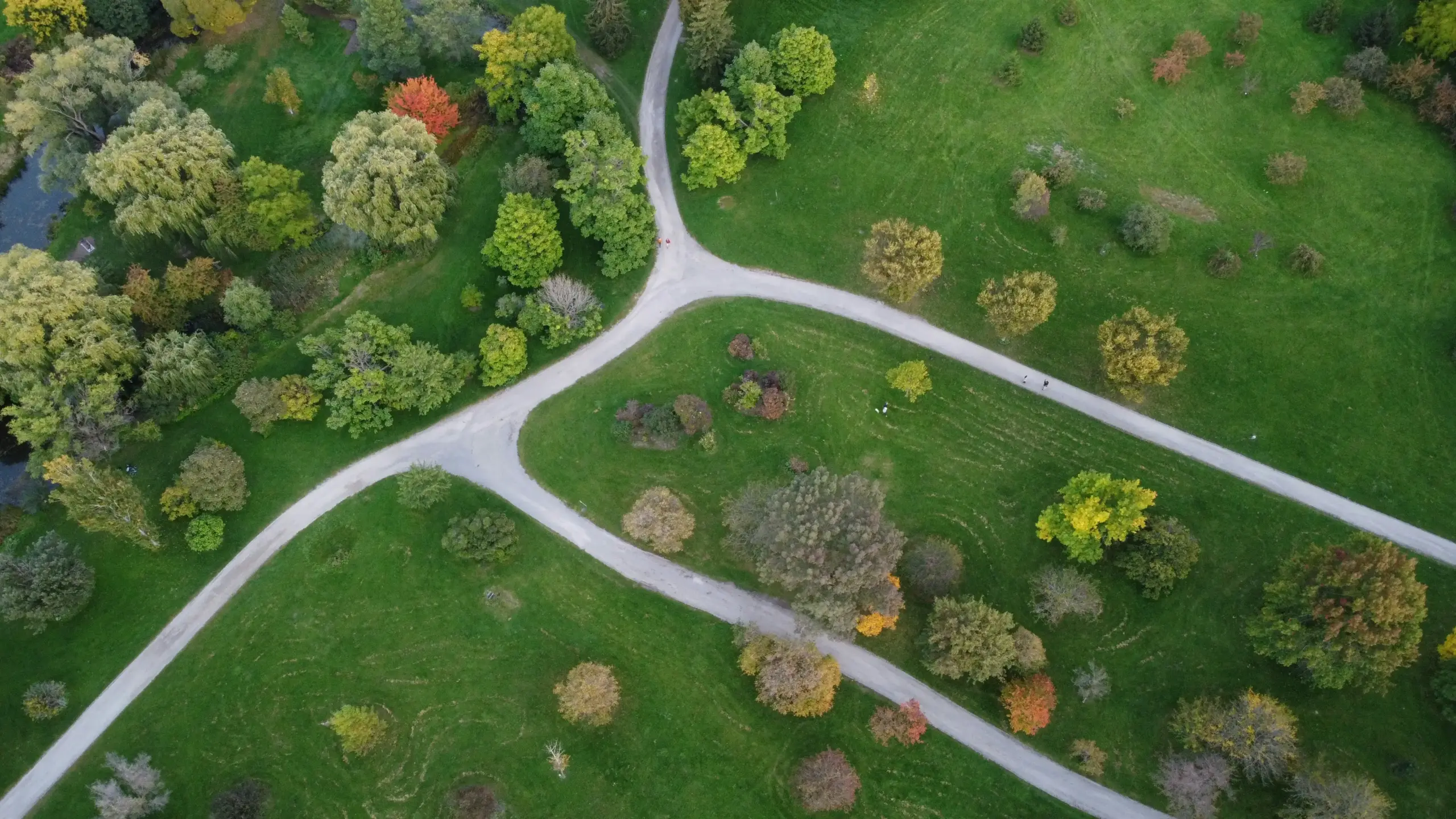 Elektra Fike-Data: Championing San Diego’s Urban Forest