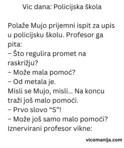 Vic dana Policijska škola