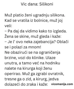 Vic dana Silikoni