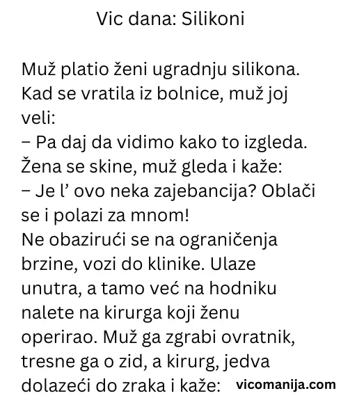 Vic dana Silikoni
