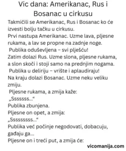 Vic dana Amerikanac, Rus i Bosanac u cirkusu