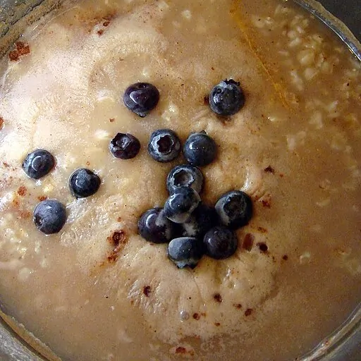 Oatmeal with blueberries and cinnamon - a breakfast rich in soluble fiber - Ash TheFreecycler, CC BY 2.0, via Wikimedia Commons